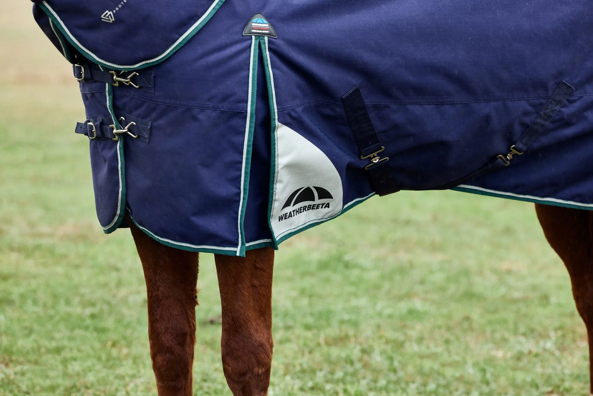 Weatherbeeta ComFiTec Plus Dynamic Turnout Detach-A-Neck 100g - Image 16