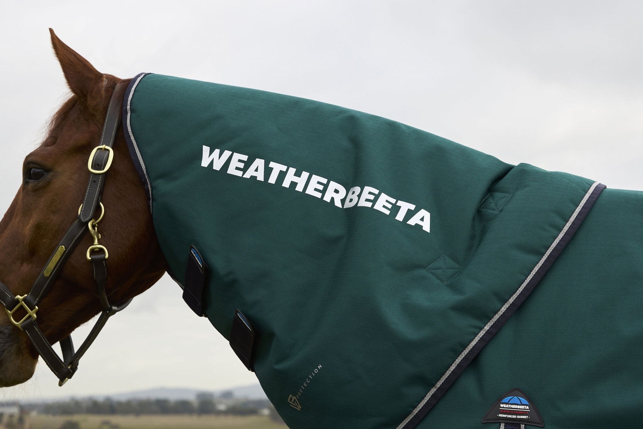 Weatherbeeta ComFiTec Plus Dynamic Turnout Detach-A-Neck 100g - Image 9