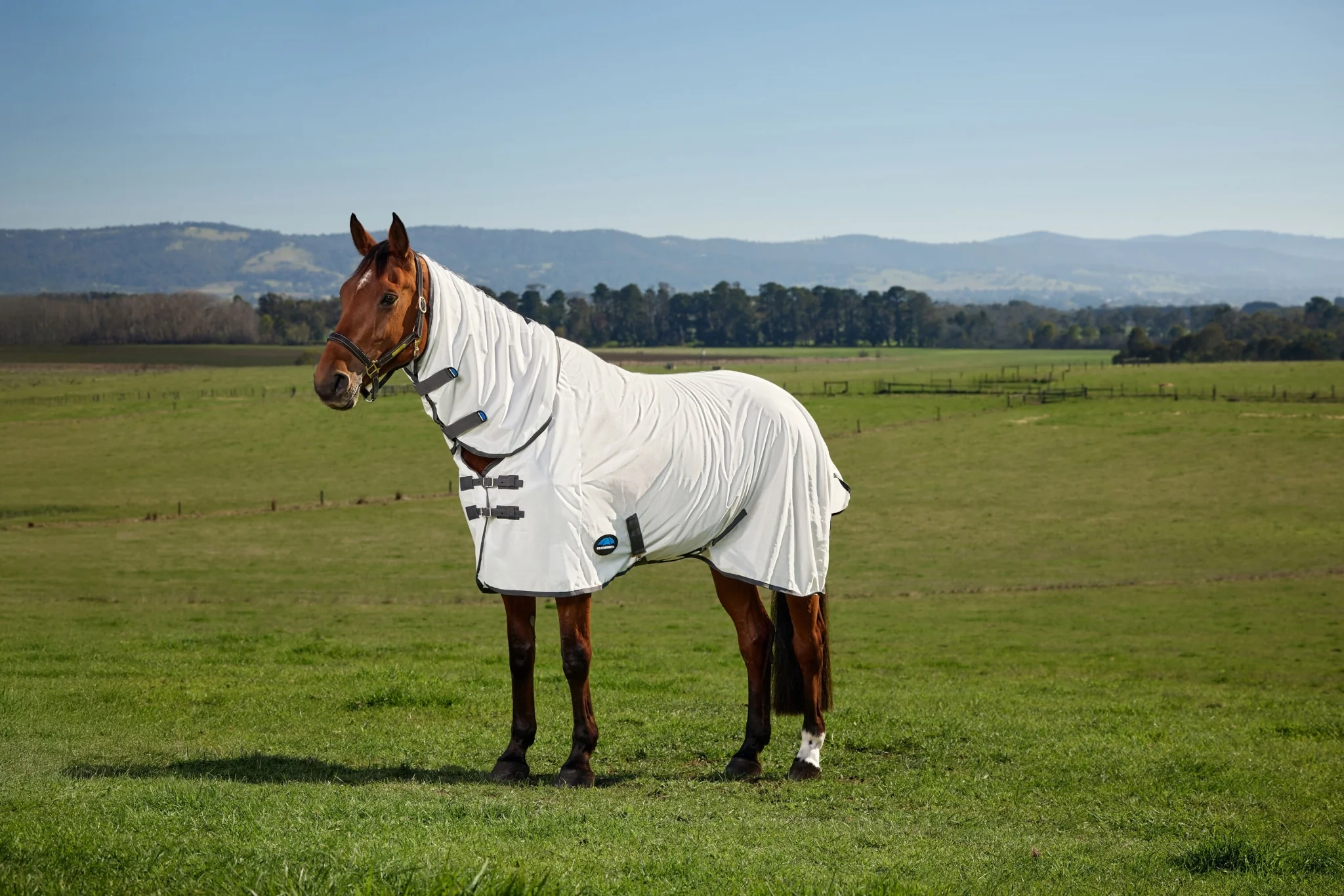 Weatherbeeta ComFiTec Tyro Fly Sheet Combo - Image 2