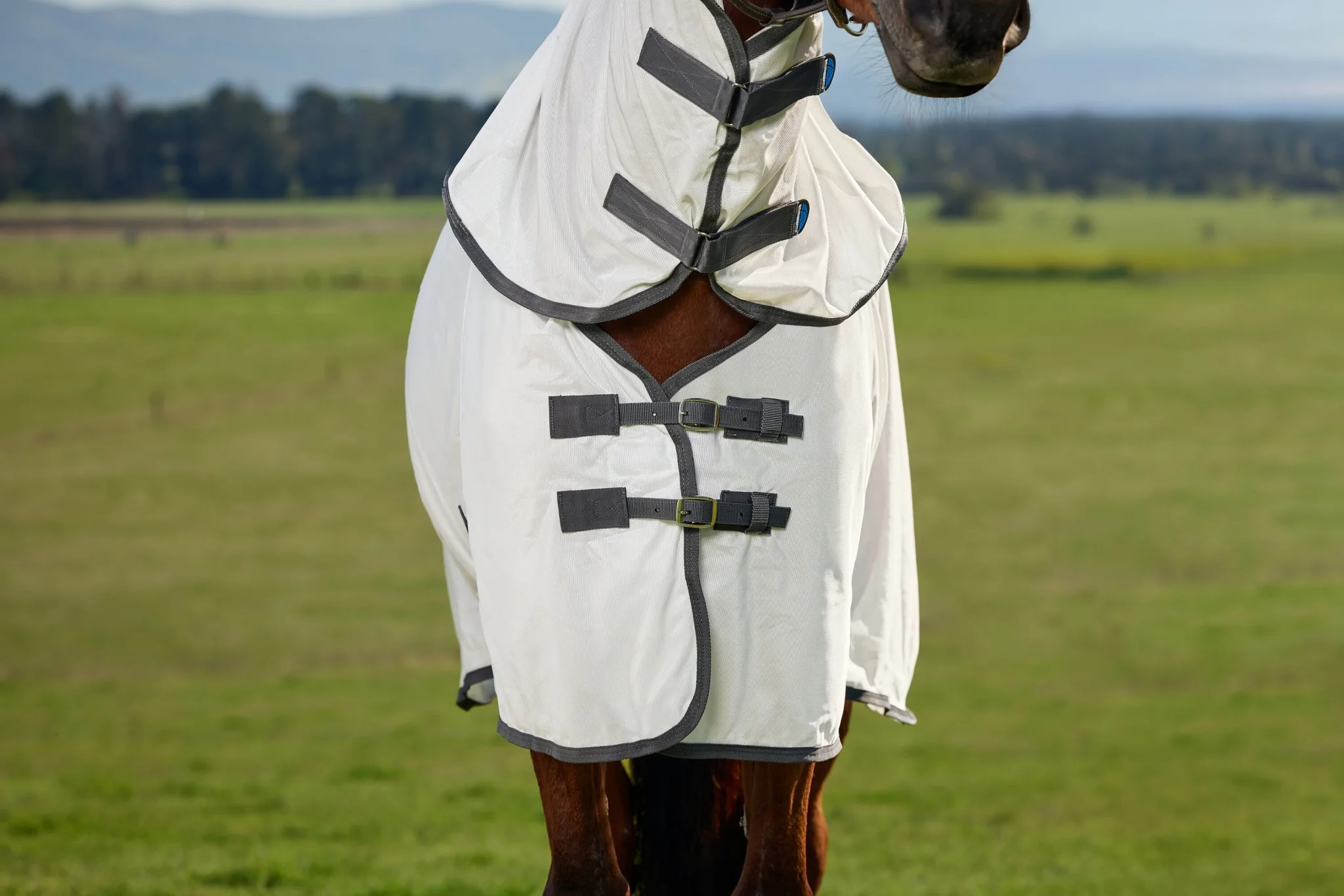 Weatherbeeta ComFiTec Tyro Fly Sheet Combo - Image 5