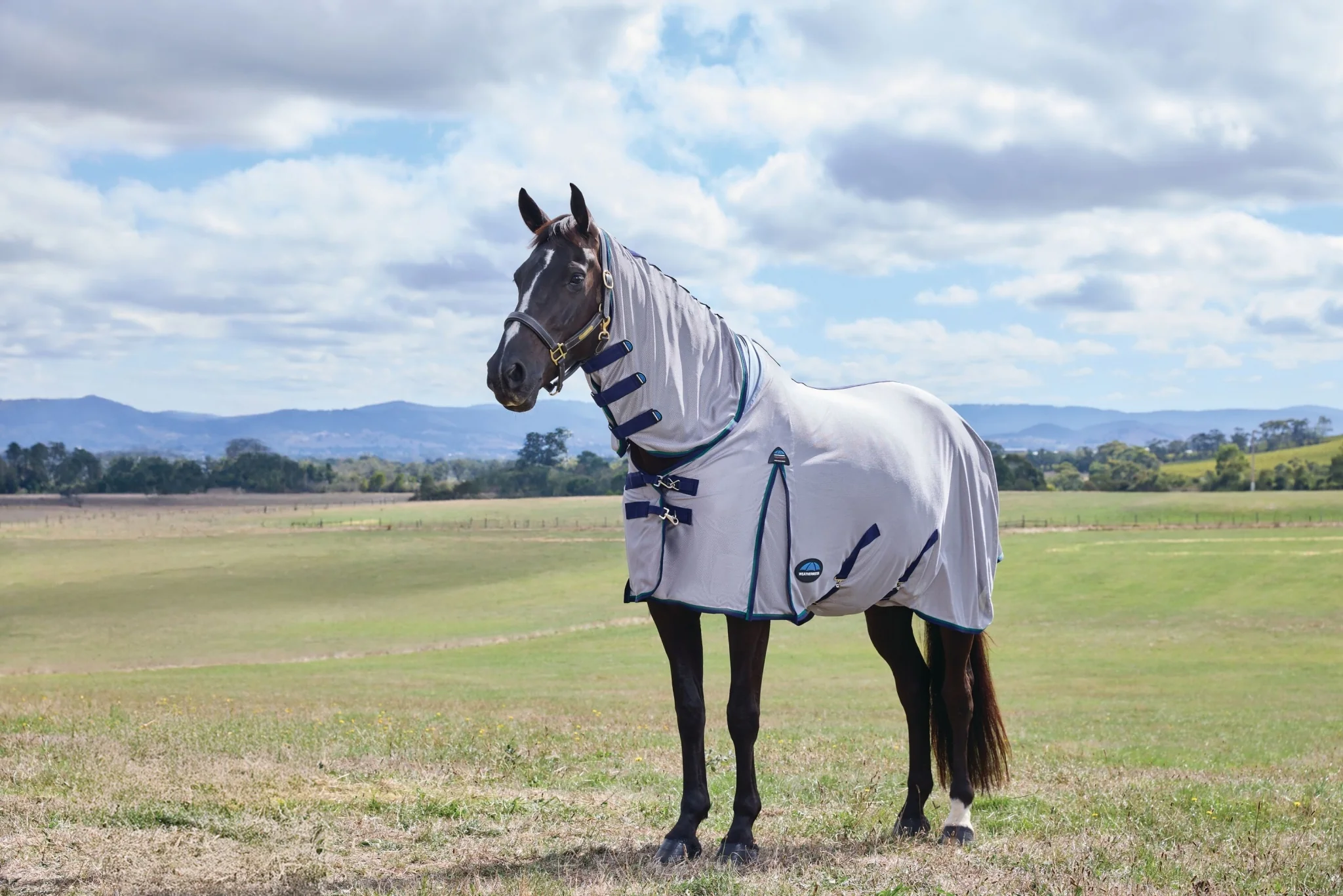 WeatherBeeta ComFiTec Zephyr Mesh Combo Neck Fly Sheet - Image 2