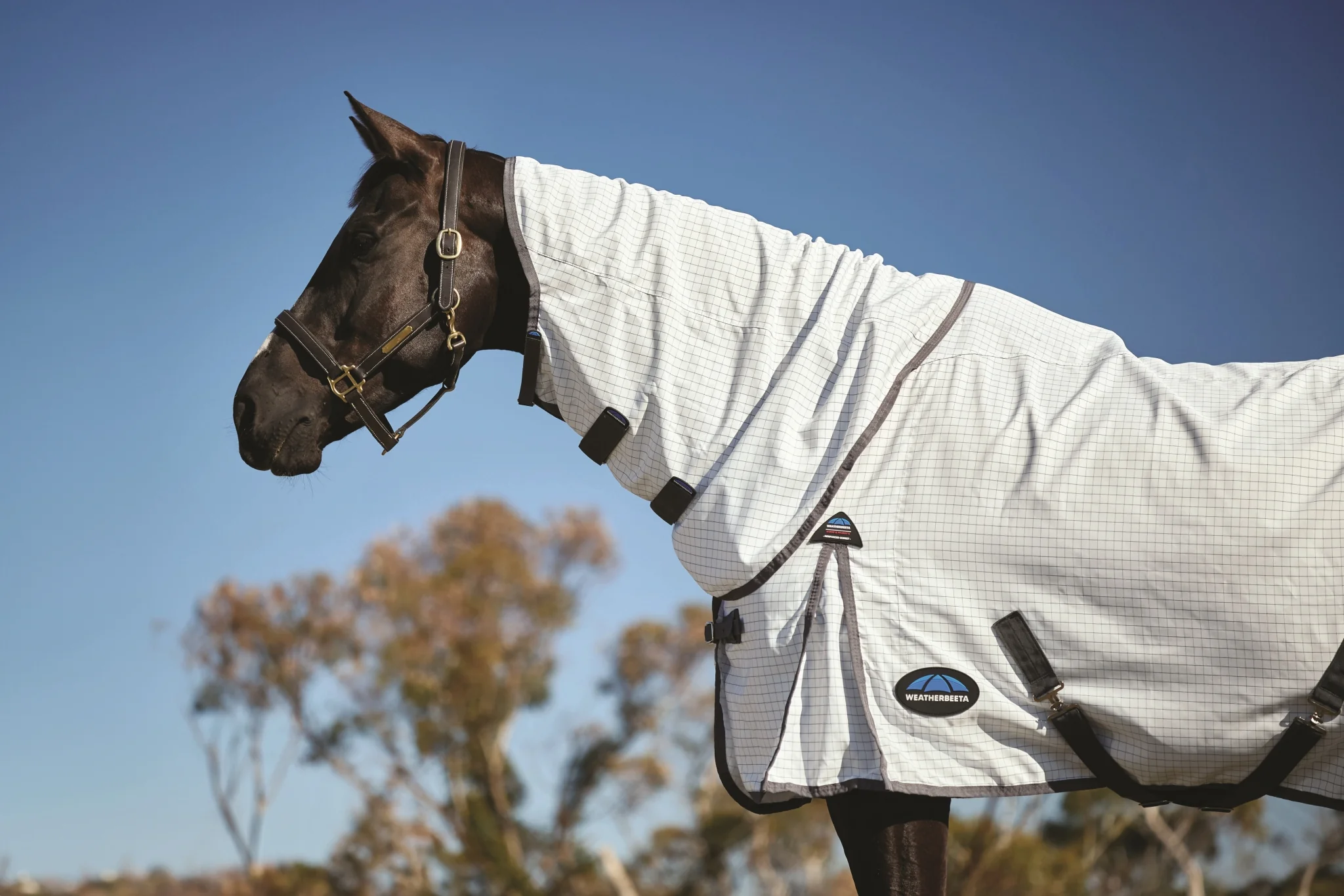 Weatherbeeta Hybrid Sheet Combo - Image 7
