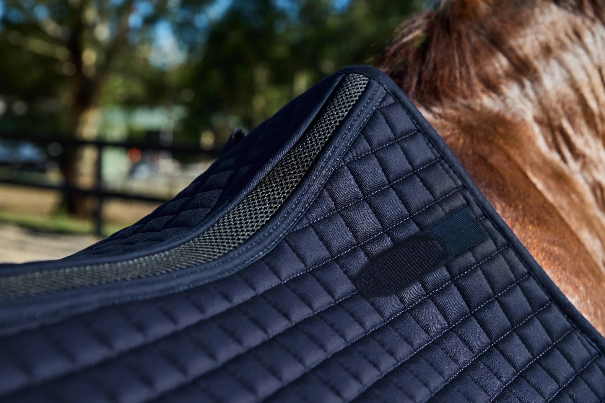 Weatherbeeta Prime Air-Tec All Purpose Saddle Pad - Image 69