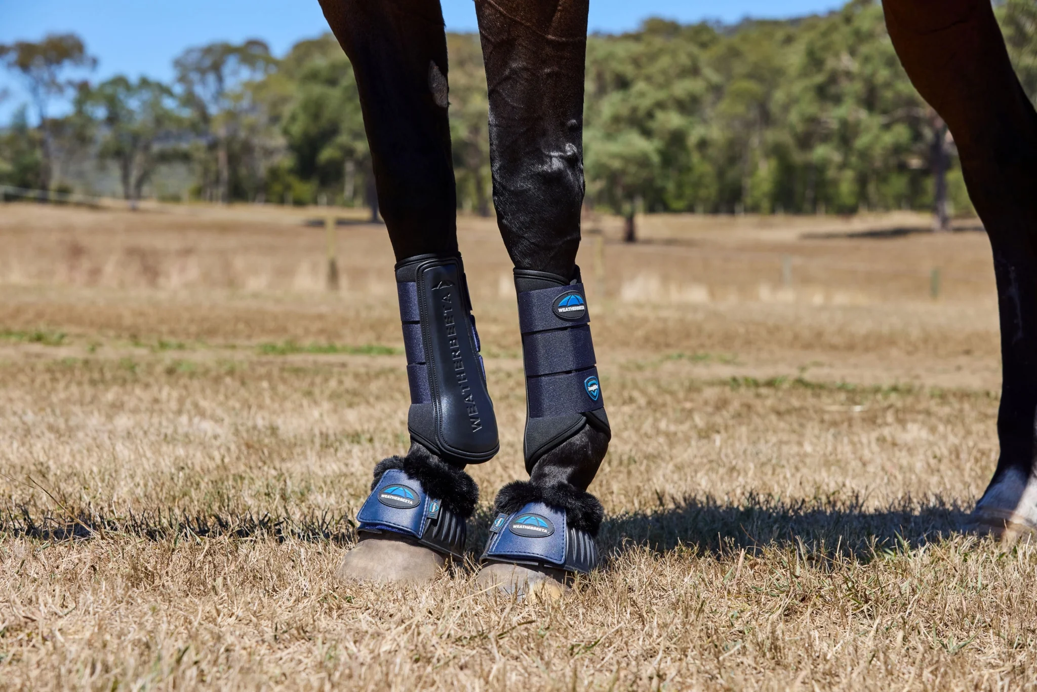 Weatherbeeta Tough-Tec Prime Brushing Boots - Image 12
