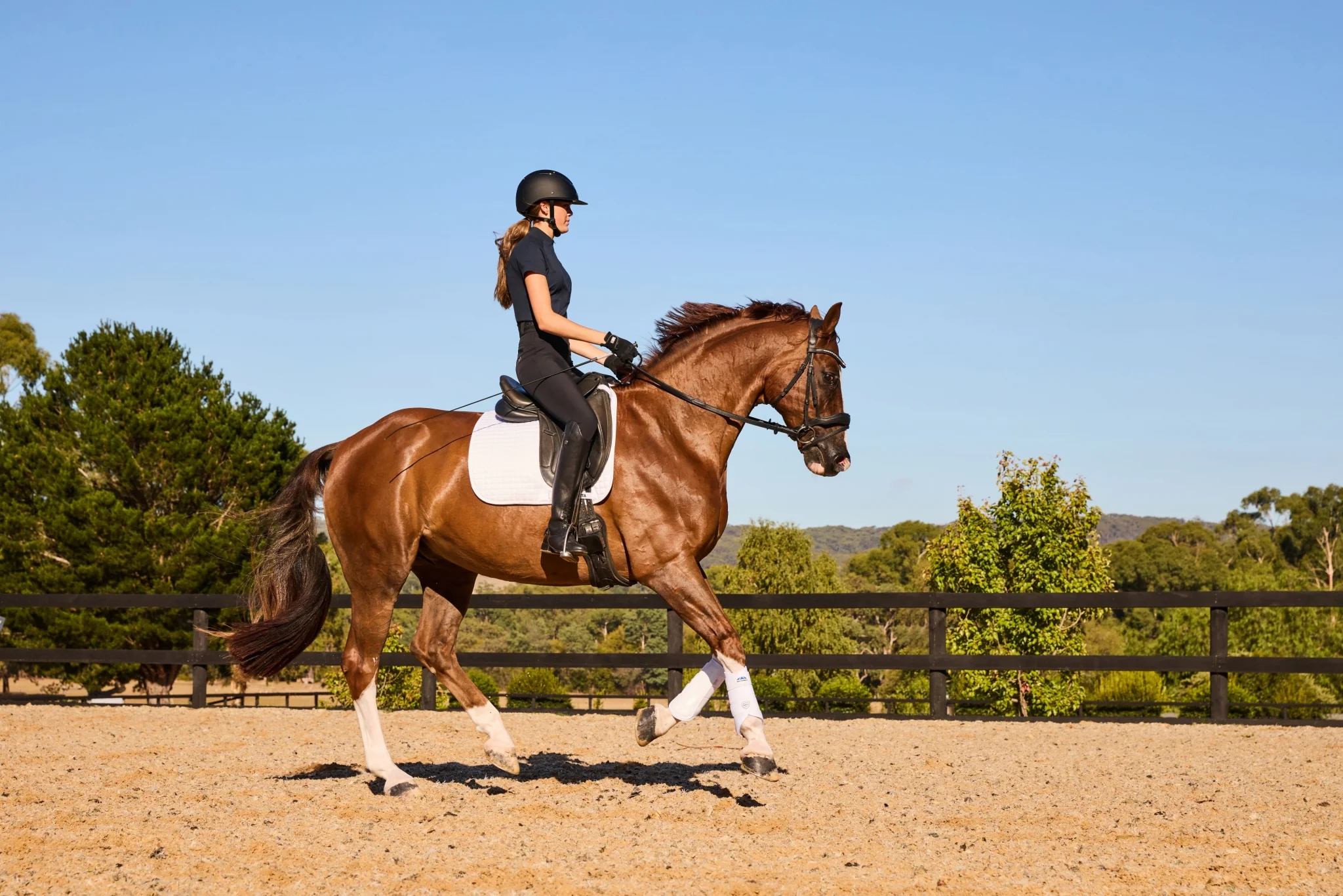 Weatherbeeta Tough-Tec Prime Brushing Boots - Image 26