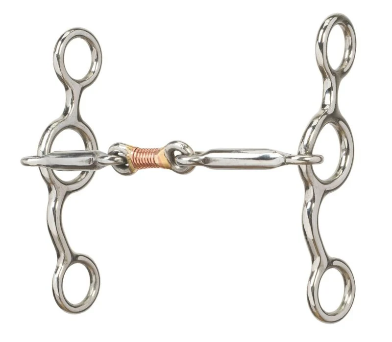 Weaver All Purpose Bit Sweet Iron Dogbone Mouth 5