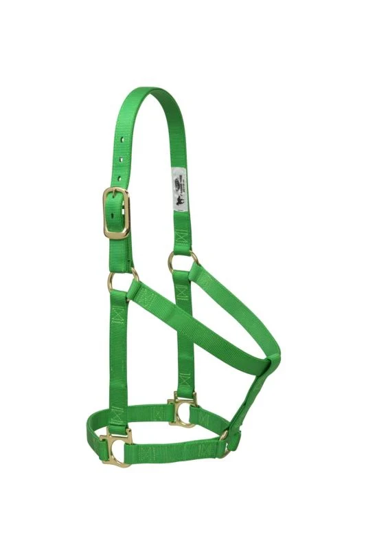 Weaver Basic Nylon Halter - Image 2