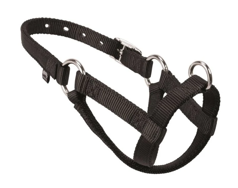 Weaver Nylon Walking Halter - Image 2