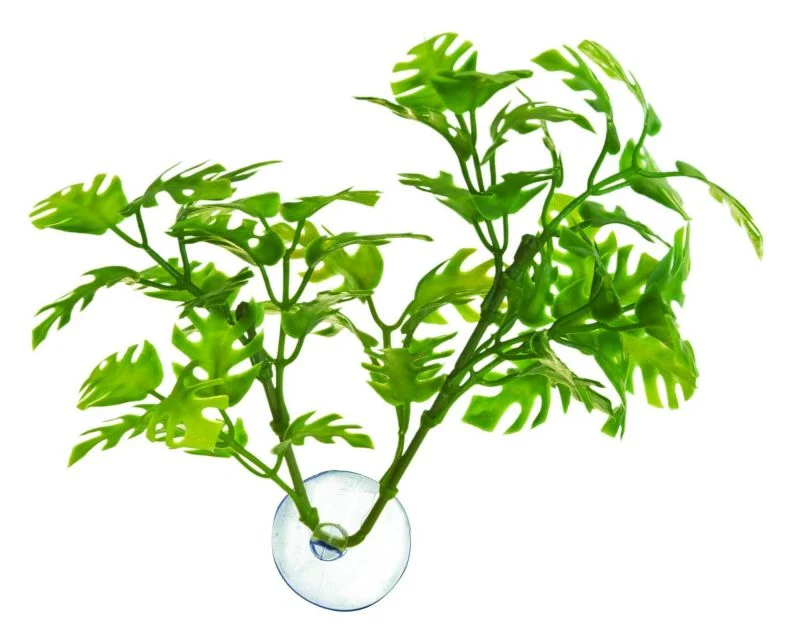 ZooMed Betta Plant Window Leaf - Image 2